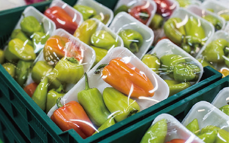 OLE Cross-linked Shrink Film