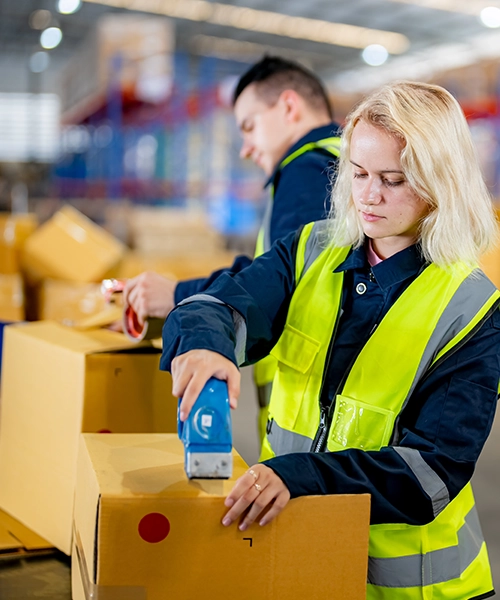 Warehouse & Palletizing Solutions